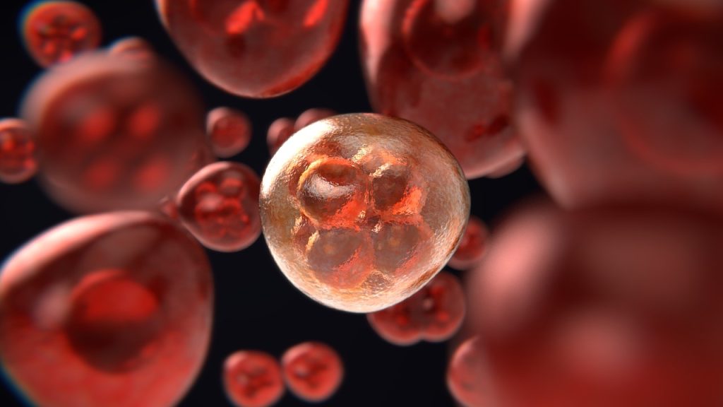 La luminothérapie pour traiter le cancer