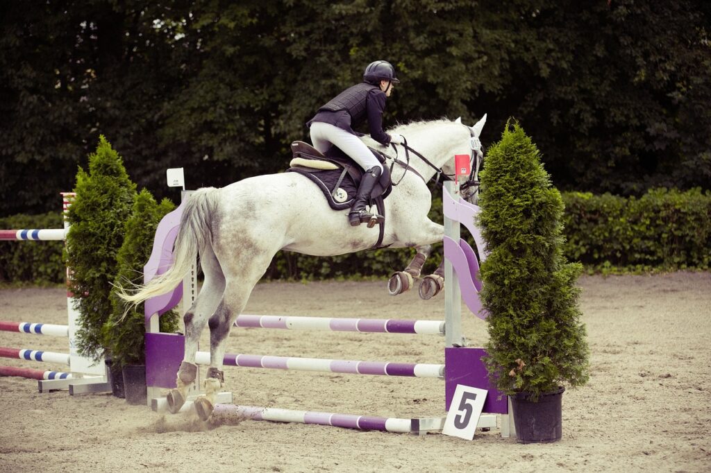 découvrez l'univers équestre : des conseils spécialisés, des compétitions palpitantes et l'art de l'équitation. plongez dans la passion des chevaux et améliorez vos compétences, que vous soyez débutant ou cavalier confirmé.