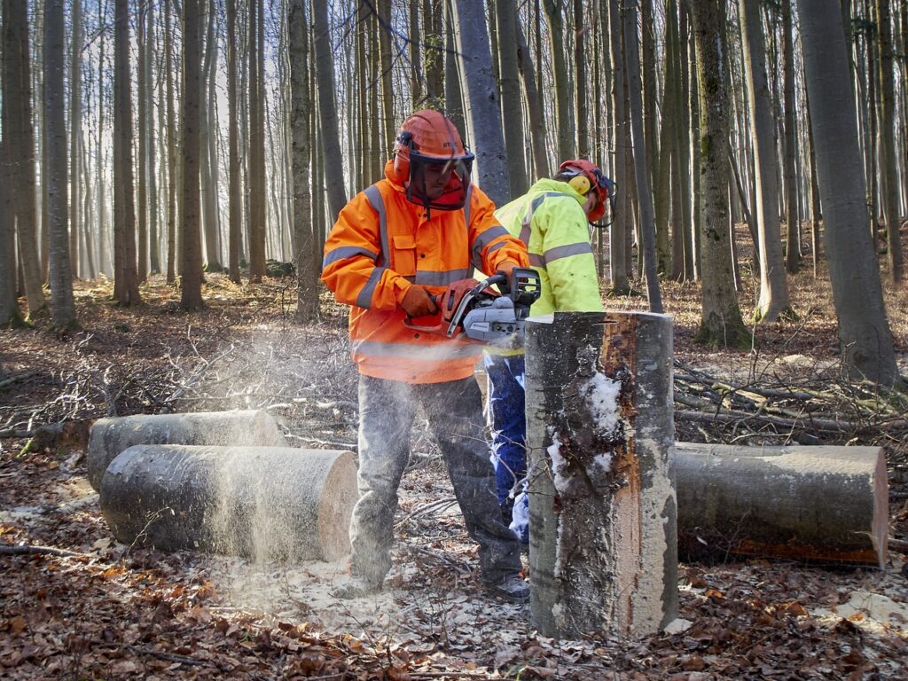 travaux forestiers