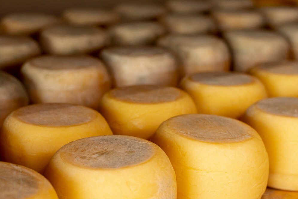 fromagerie