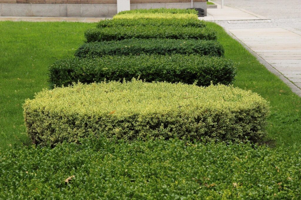 découvrez nos conseils et techniques pour la taille de haies, afin d'obtenir des jardins soignés et esthétiques. apprenez les meilleures pratiques pour entretenir vos haies tout au long de l'année.