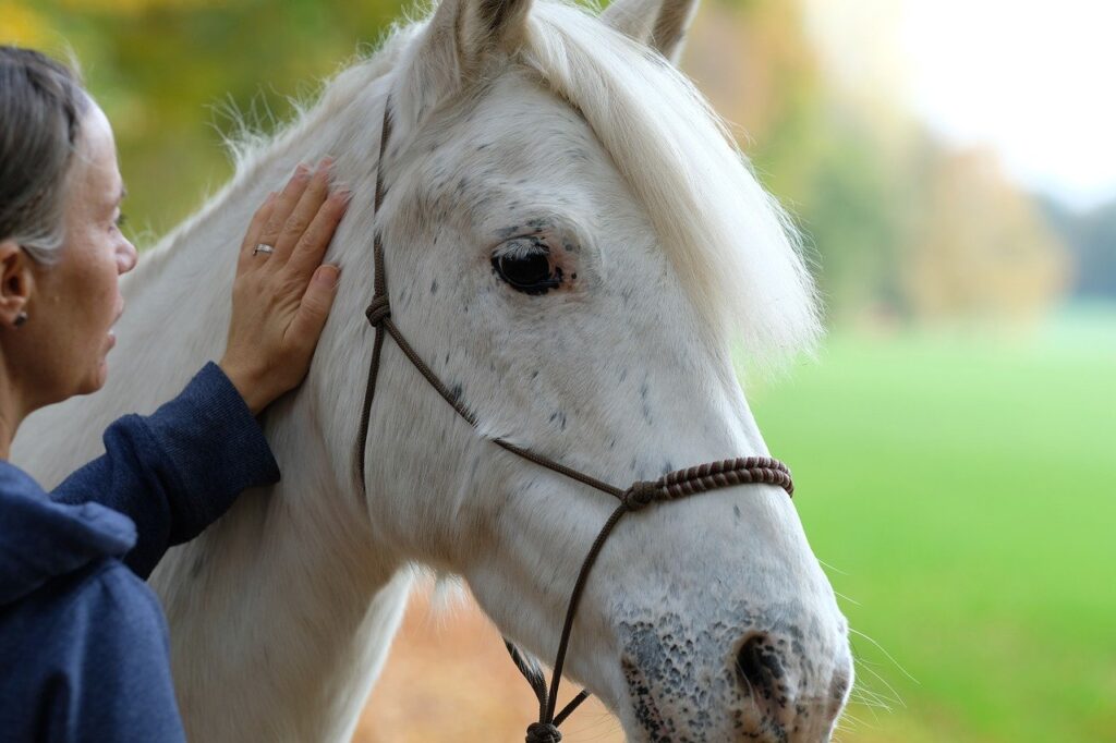 cheval