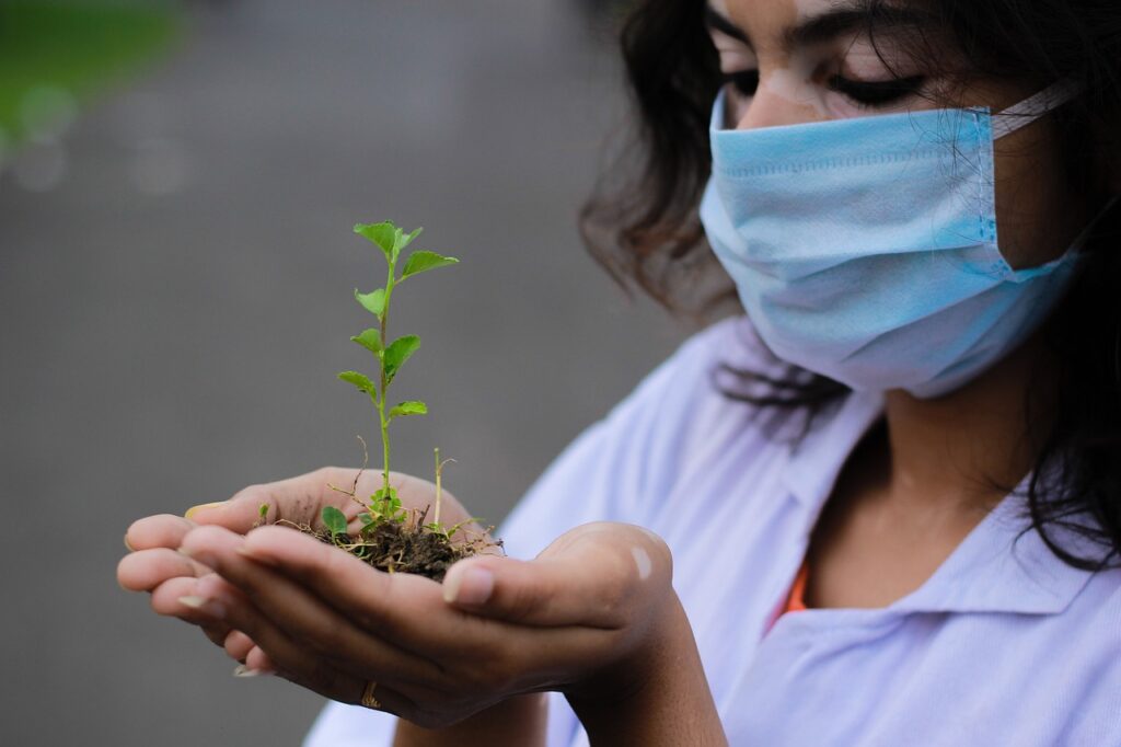 découvrez l'art du planting : conseils pratiques, techniques de plantation et astuces pour cultiver vos plantes avec succès. que vous soyez jardinier débutant ou expérimenté, trouvez des idées inspirantes pour embellir votre jardin.