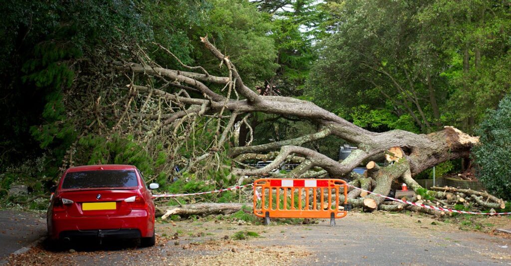 découvrez nos services professionnels d'abattage d'arbres, garantissant sécurité et efficacité. nous vous aidons à éliminer les arbres indésirables tout en préservant votre espace et l'environnement. contactez-nous pour un devis personnalisé.