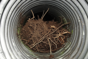 canalisation bouchée