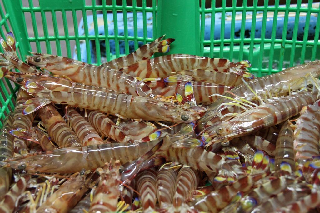 fruits de mer
