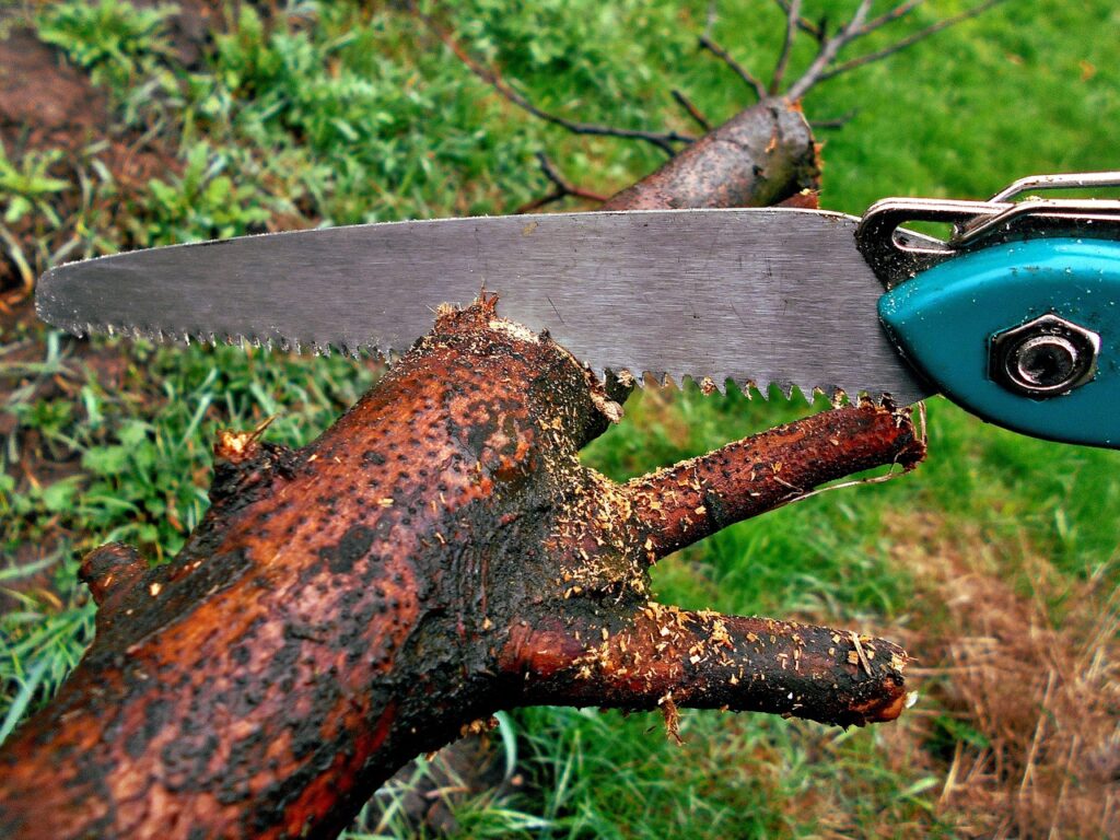 service d'élagage d'arbres urbains pour assurer la sécurité, la santé et l'esthétique de vos espaces verts en milieu urbain.