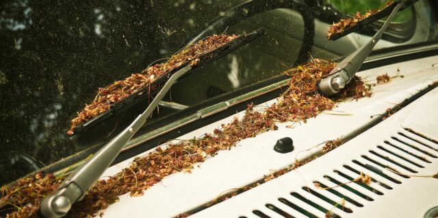 découvrez les causes et solutions des problèmes d'adhérence du pare-brise pour assurer votre sécurité et prolonger la durée de vie de votre vitrage automobile.