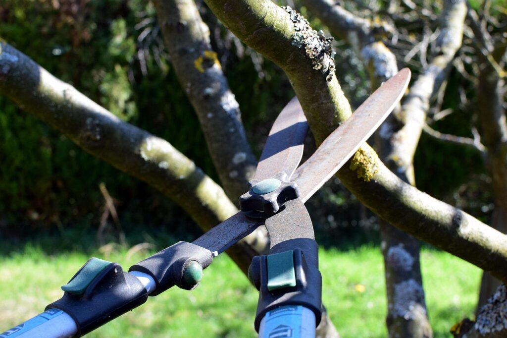 découvrez nos conseils et techniques professionnelles pour l'élagage des arbres afin de favoriser leur croissance, leur santé et leur sécurité.