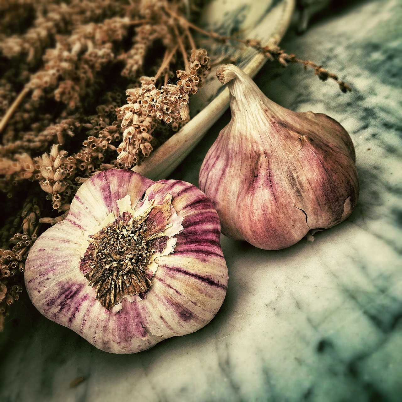 découvrez nos recettes et conseils pour cuisiner avec des ingrédients saisonniers frais, savoureux et de qualité, pour une alimentation saine et naturelle tout au long de l'année.
