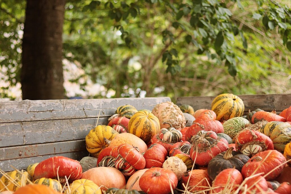calendrier des fruits et légumes de saison pour consommer frais et local toute l'année.