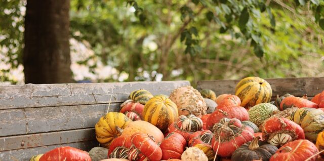 calendrier des fruits et légumes de saison pour consommer frais et local toute l'année.