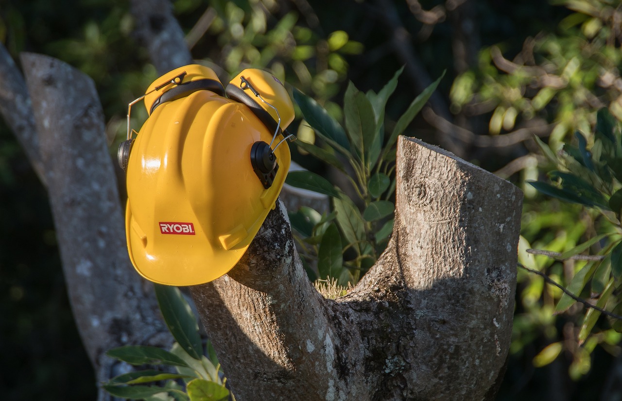 découvrez les techniques essentielles de taille des arbres pour maintenir leur santé, favoriser leur croissance et sécuriser votre jardin.