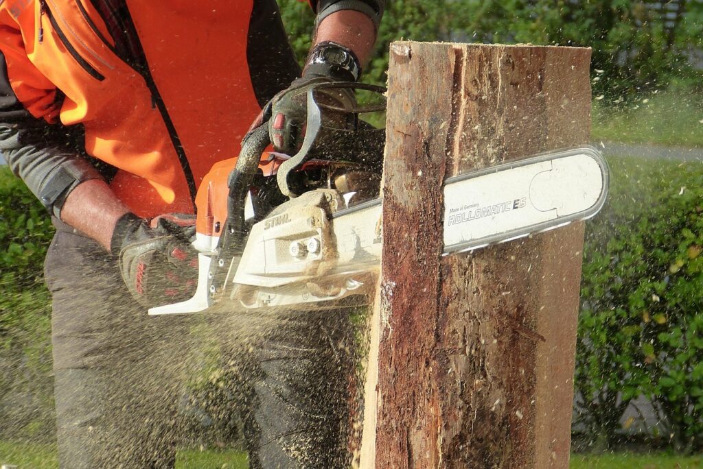 découvrez les meilleures techniques d'élagage des arbres pour assurer leur santé, sécurité et esthétique tout en favorisant une croissance harmonieuse.
