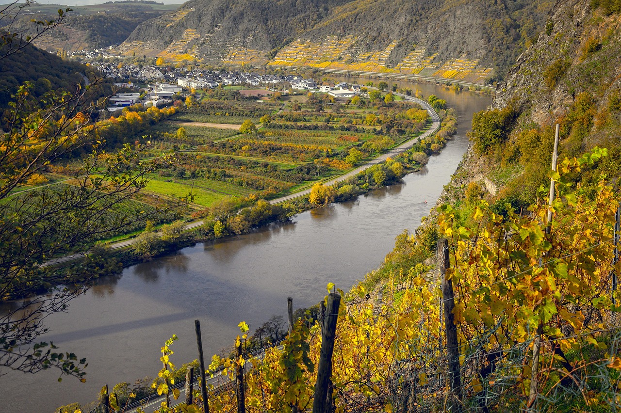 explorez le tourisme viticole dans la vallée du rhône : domaines, dégustations et paysages pour un séjour œnologique inoubliable.